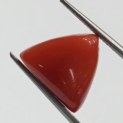 Triangle Red Coral/ Moonga Stone- 10.60 Carat