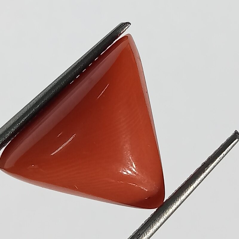 Triangle Red Coral/ Moonga Stone- 9.40 Carat