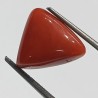 Triangle Red Coral/ Moonga Stone- 11.60 Carat