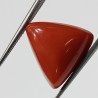 Triangle Red Coral/ Moonga Stone- 13.10 Carat