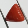 Triangle Red Coral/ Moonga Stone- 13.10 Carat