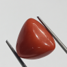 Triangle Red Coral/ Moonga Stone- 15.50 Carat