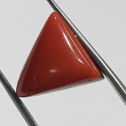 Triangle Red Coral/ Moonga...