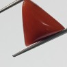 Triangle Red Coral/ Moonga Stone- 16.70 Carat