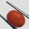 Authentic Original Red Coral Stone With Lab-Certified 5.40 Carat