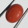 Authentic Original Red Coral Stone With Lab-Certified 5.40 Carat