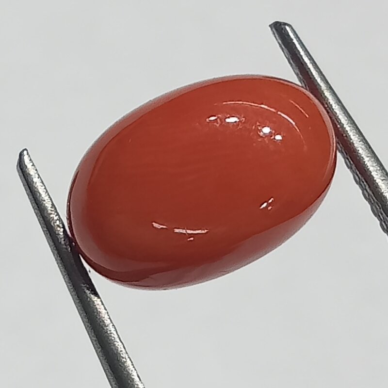 Authentic Original Red Coral Stone With Lab-Certified 5.50 Carat