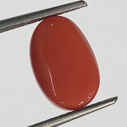 Authentic Original Red Coral Stone With Lab-Certified 5.50 Carat