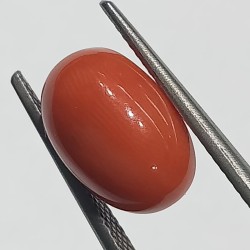 Authentic Original Red Coral Stone With Lab-Certified 5.70 Carat