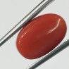 Authentic Original Red Coral Stone With Lab-Certified 6.00 Carat