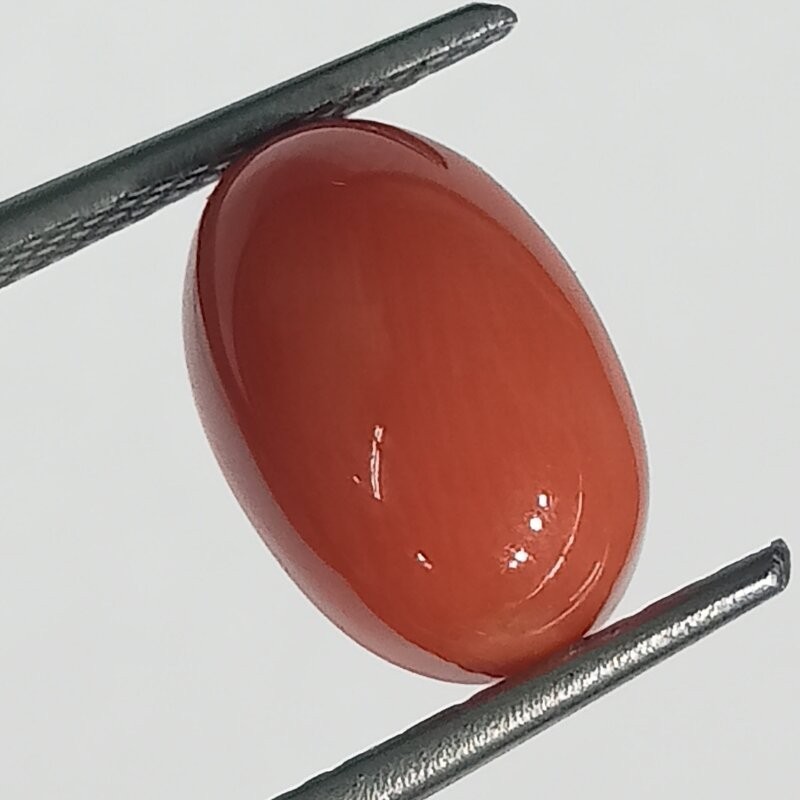 Authentic Original Red Coral Stone With Lab-Certified 5.30 Carat