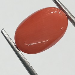 Authentic Original Red Coral Stone With Lab-Certified 5.30 Carat