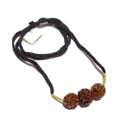 Certified Saraswati Kavach & Certified Rudraksha 4-6-4 Mukhi student rudraksha