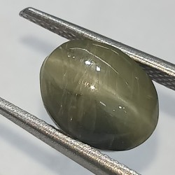 Cat’s Eye Stone (Lehsunia)...