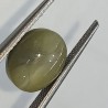 Cat’s Eye Stone (Lehsunia) & Lab- Certified Gemstone – 5.95 Carat