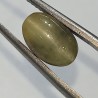 Cat’s Eye Stone (Lehsunia) & Lab- Certified Gemstone – 5.31 Carat