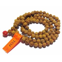 Natural 6 Mukhi Rudraksha Mala Genuine Affordable & Certified Mala