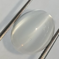 Authentic Moonstone (Chandramani Stone) 7.08 Carat