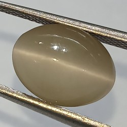 Cat’s Eye Stone (Lehsunia)...