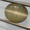 Cat’s Eye Stone (Lehsunia) & Lab- Certified Gemstone – 7.12 Carat