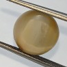 Cat’s Eye Stone (Lehsunia) & Lab- Certified Gemstone – 6.16 Carat