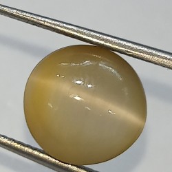 Cat’s Eye Stone (Lehsunia) & Lab- Certified Gemstone – 6.16 Carat