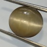 Cat’s Eye Stone (Lehsunia) & Lab- Certified Gemstone – 5.81 Carat