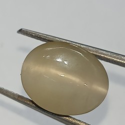 Cat’s Eye Stone (Lehsunia)...